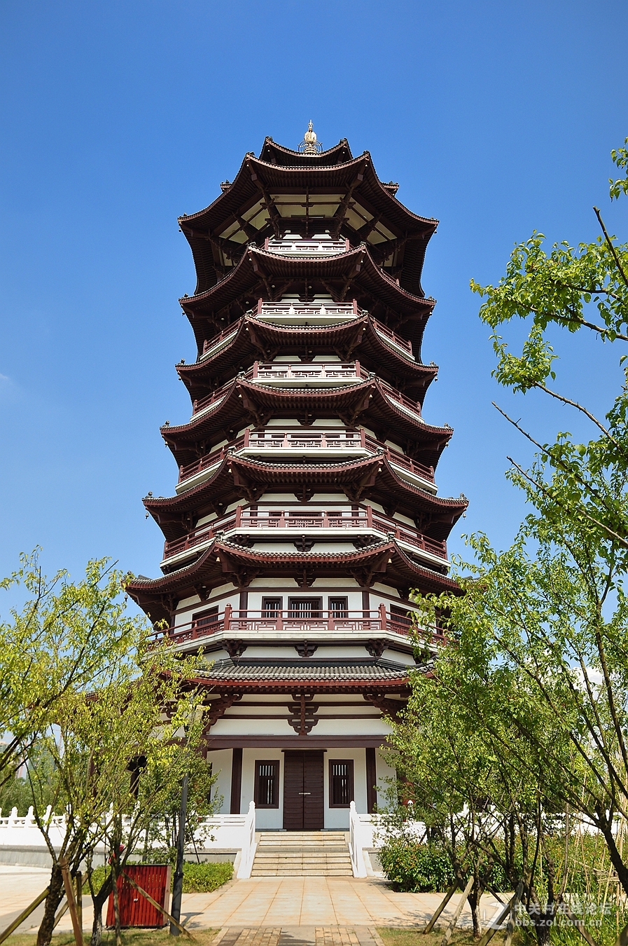 長沙洋湖溼地公園盛夏美景1