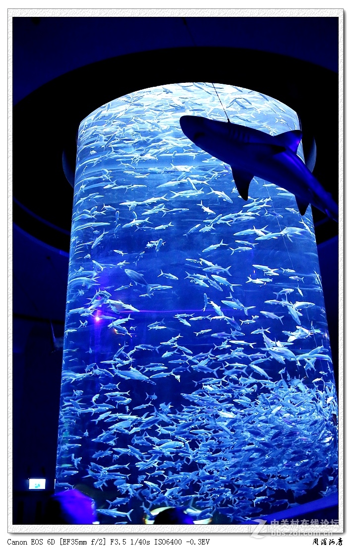 香港海洋公园-------水族馆-中关村在线摄影论坛