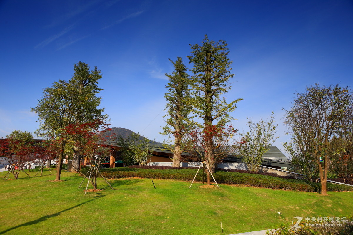 佛光牛首、福泽盛世