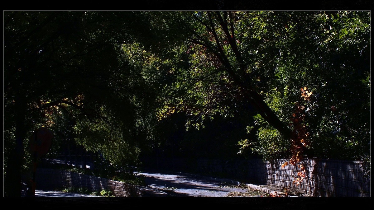 丰满松花湖《坝上金秋》来燕赵访友交流。