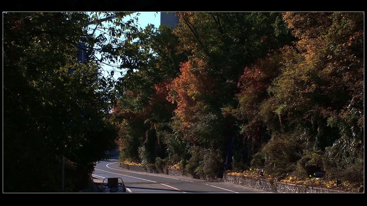 丰满松花湖《坝上金秋》来燕赵访友交流。