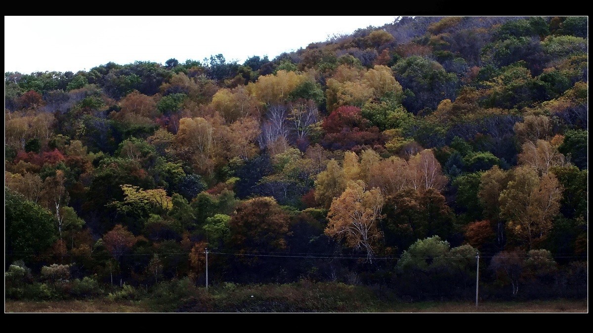 丰满松花湖《坝上金秋》来燕赵访友交流。