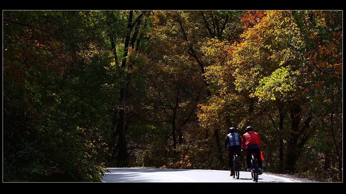 丰满松花湖《坝上金秋》来燕赵访友交流。