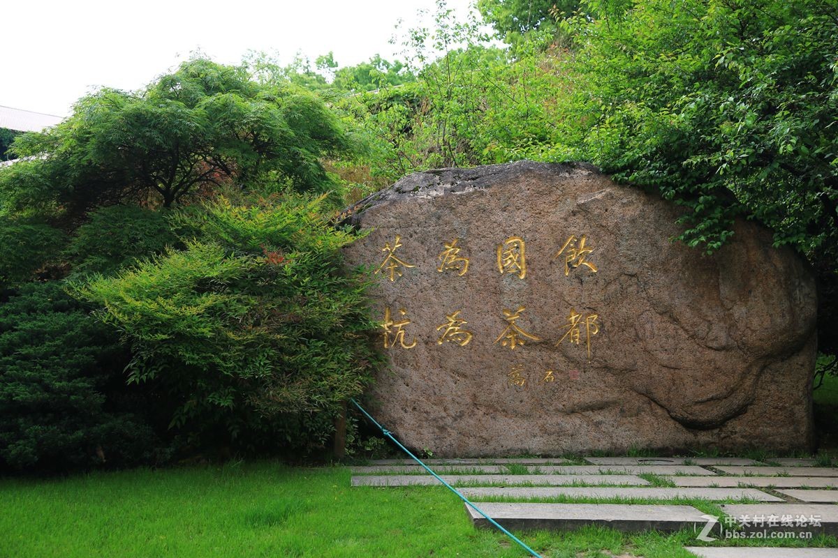 茶乡随拍