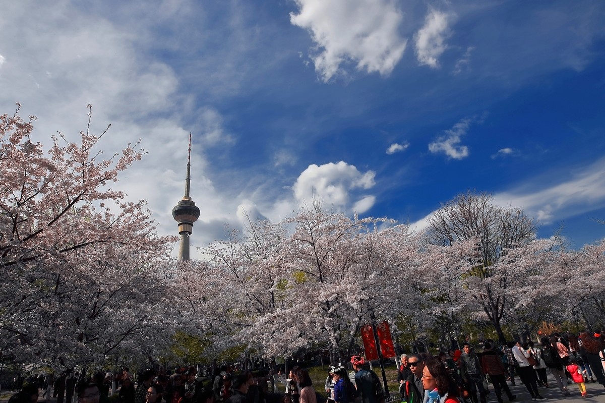 #佳能月赛-与佳能一起去踏青#《樱花盛开的地方》