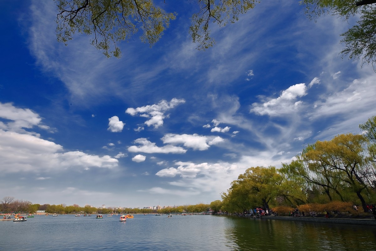 #佳能月赛-与佳能一起去踏青#《樱花盛开的地方》