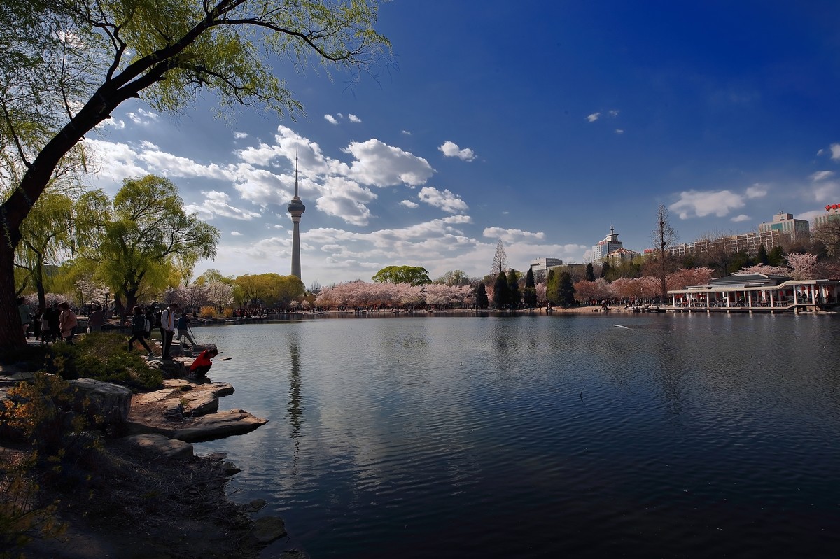 #佳能月赛-与佳能一起去踏青#《樱花盛开的地方》