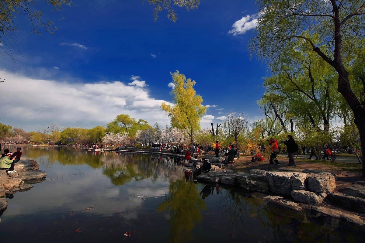 #佳能月赛-与佳能一起去踏青#《樱花盛开的地方》