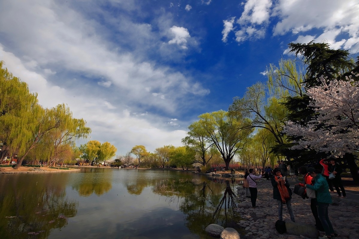 #佳能月赛-与佳能一起去踏青#《樱花盛开的地方》