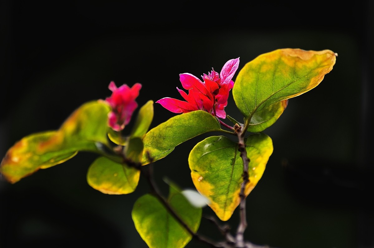 【暖冬杂拍】——小试850