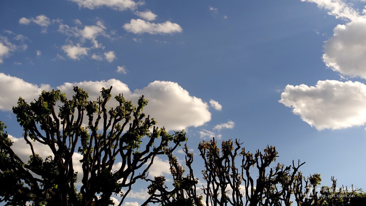 圣比得堡、湼瓦河两岸风光