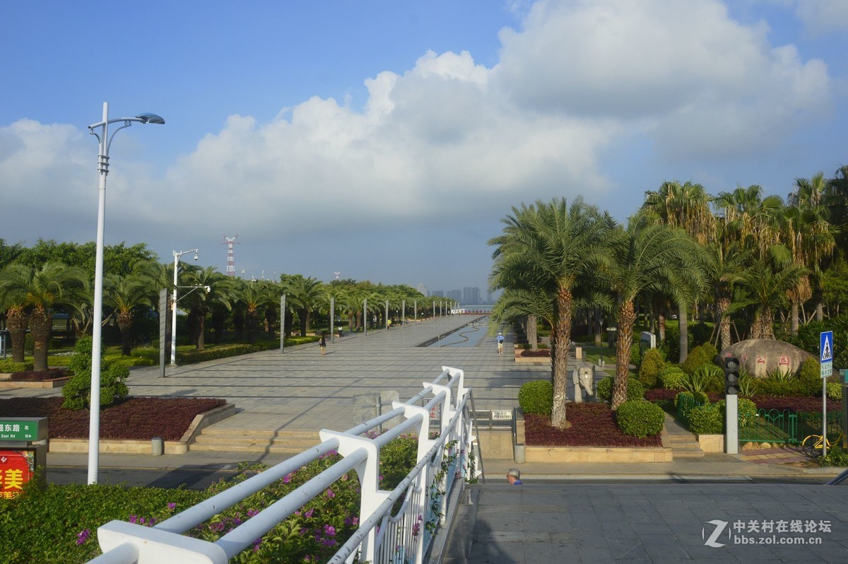 美丽的厦门白鹭洲湖边风光摄影之二