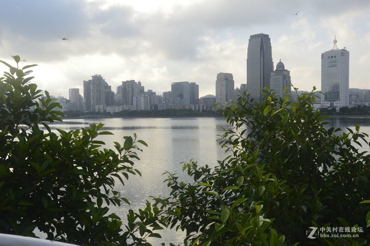 美丽的厦门白鹭洲湖边风光摄影之二