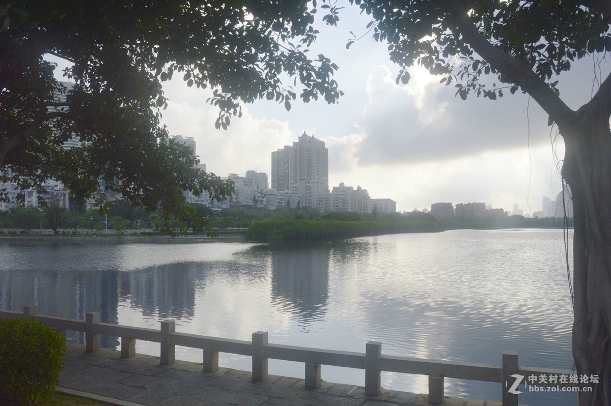 美丽的厦门白鹭洲湖边风光摄影之二