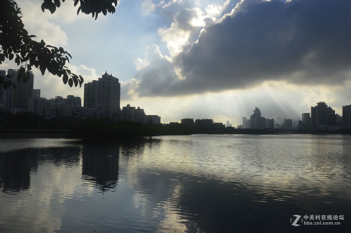 美丽的厦门白鹭洲湖边风光摄影之二