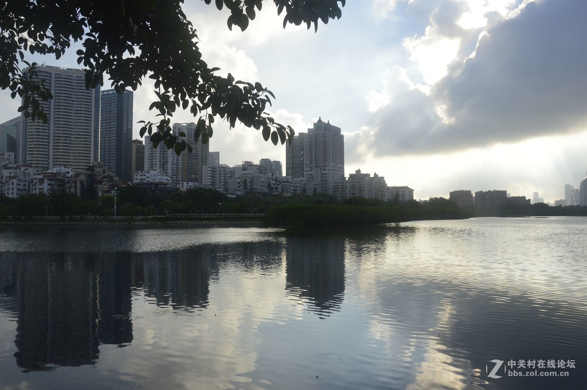 美丽的厦门白鹭洲湖边风光摄影之二