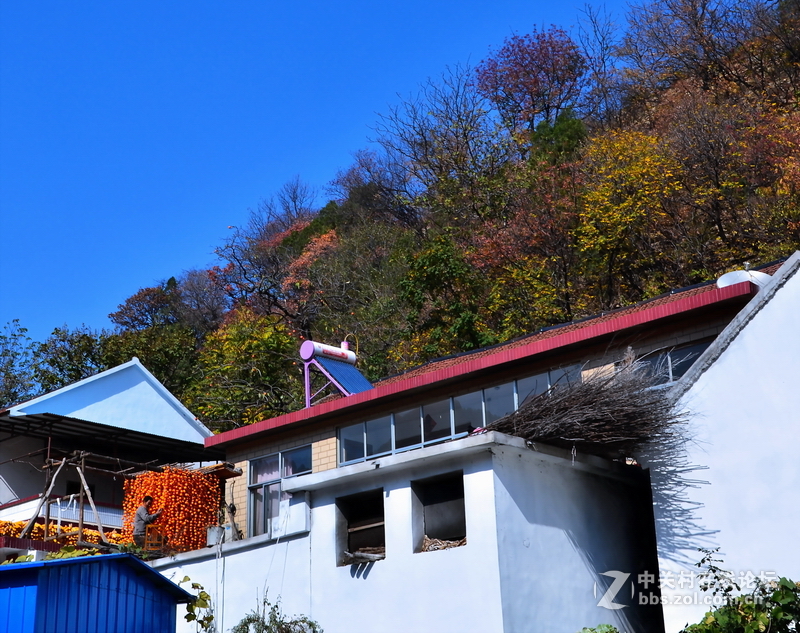 山东青州市柿子沟