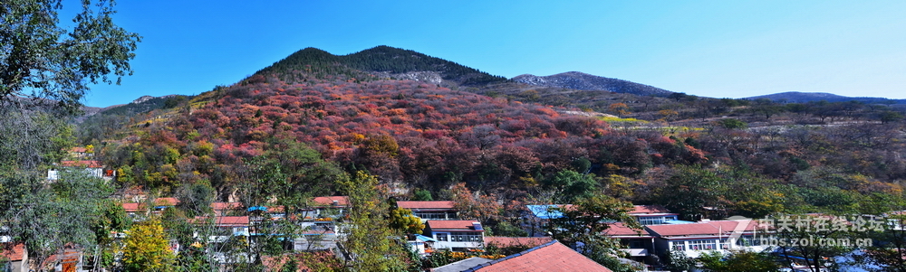 山东青州市柿子沟