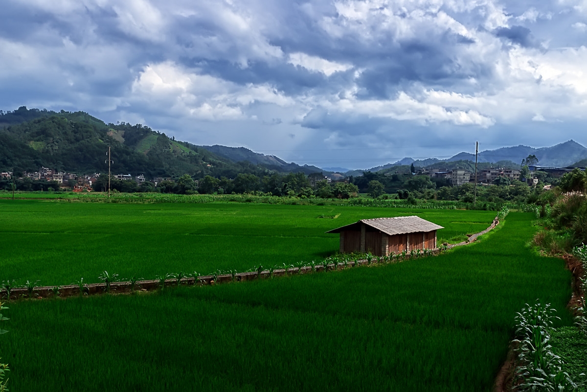 江南行73桂贺州田园风光
