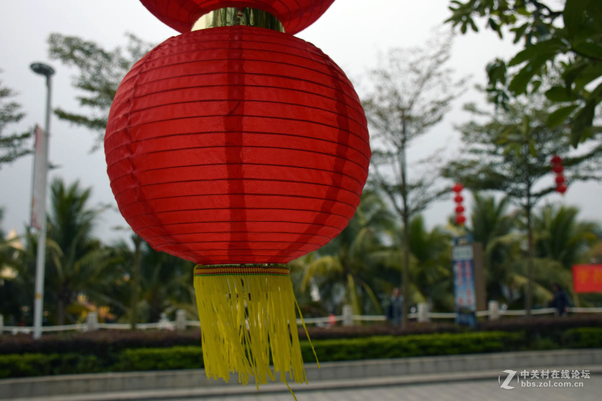 2017春节 岭南行（30）大角湾