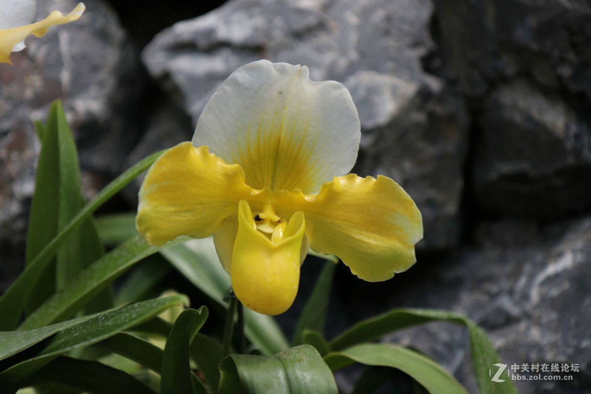 南宁青秀山兰园