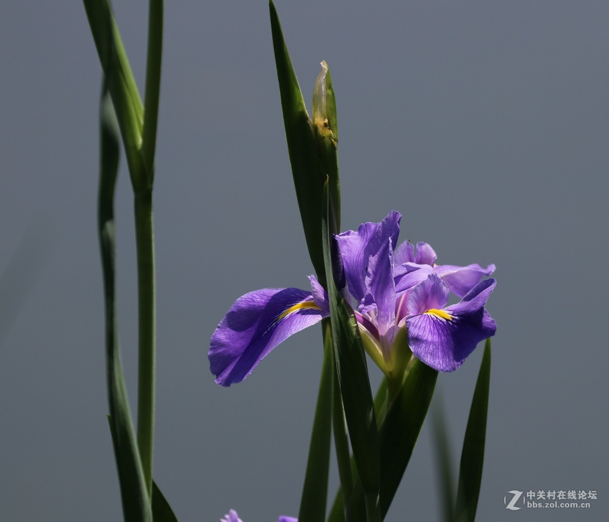 南宁青秀山兰园