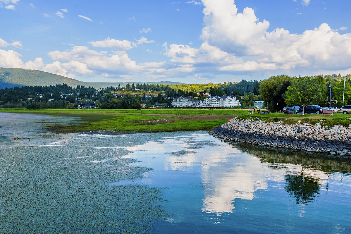 加拿大、美国游记（047）：鲑鱼湾（一）