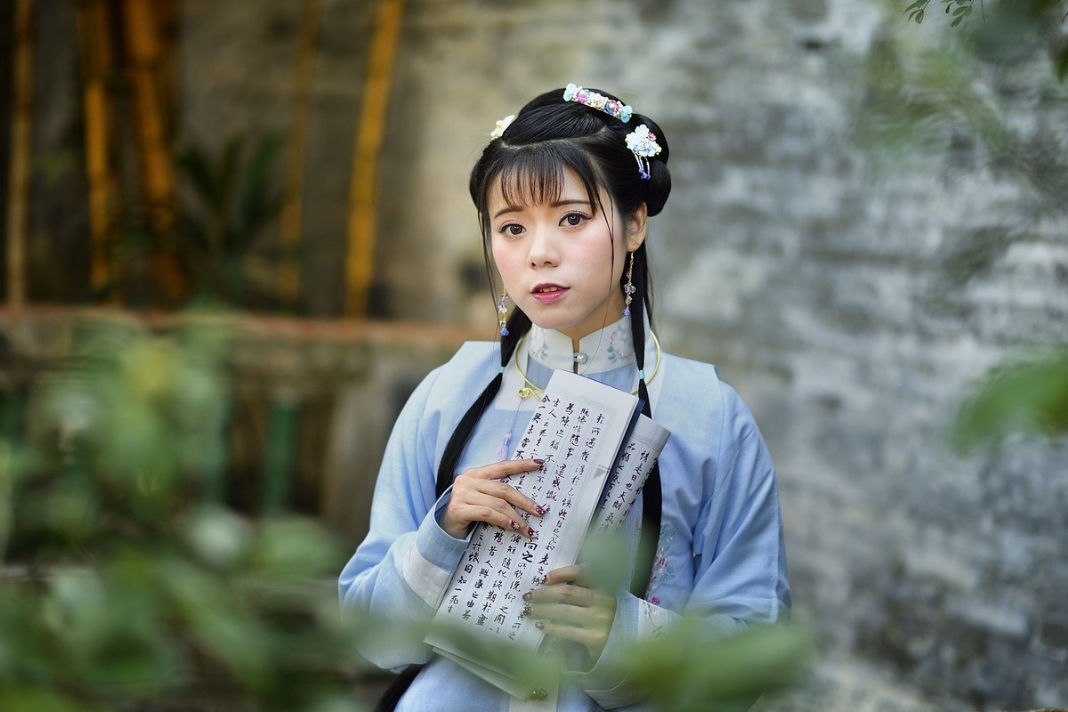 【冬晓春梦】——燕子