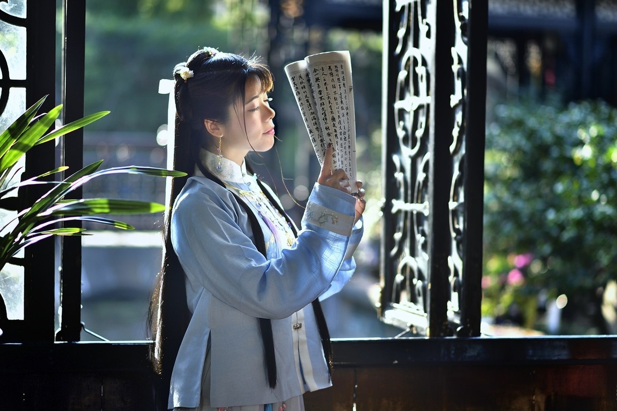 【冬晓春梦】——燕子