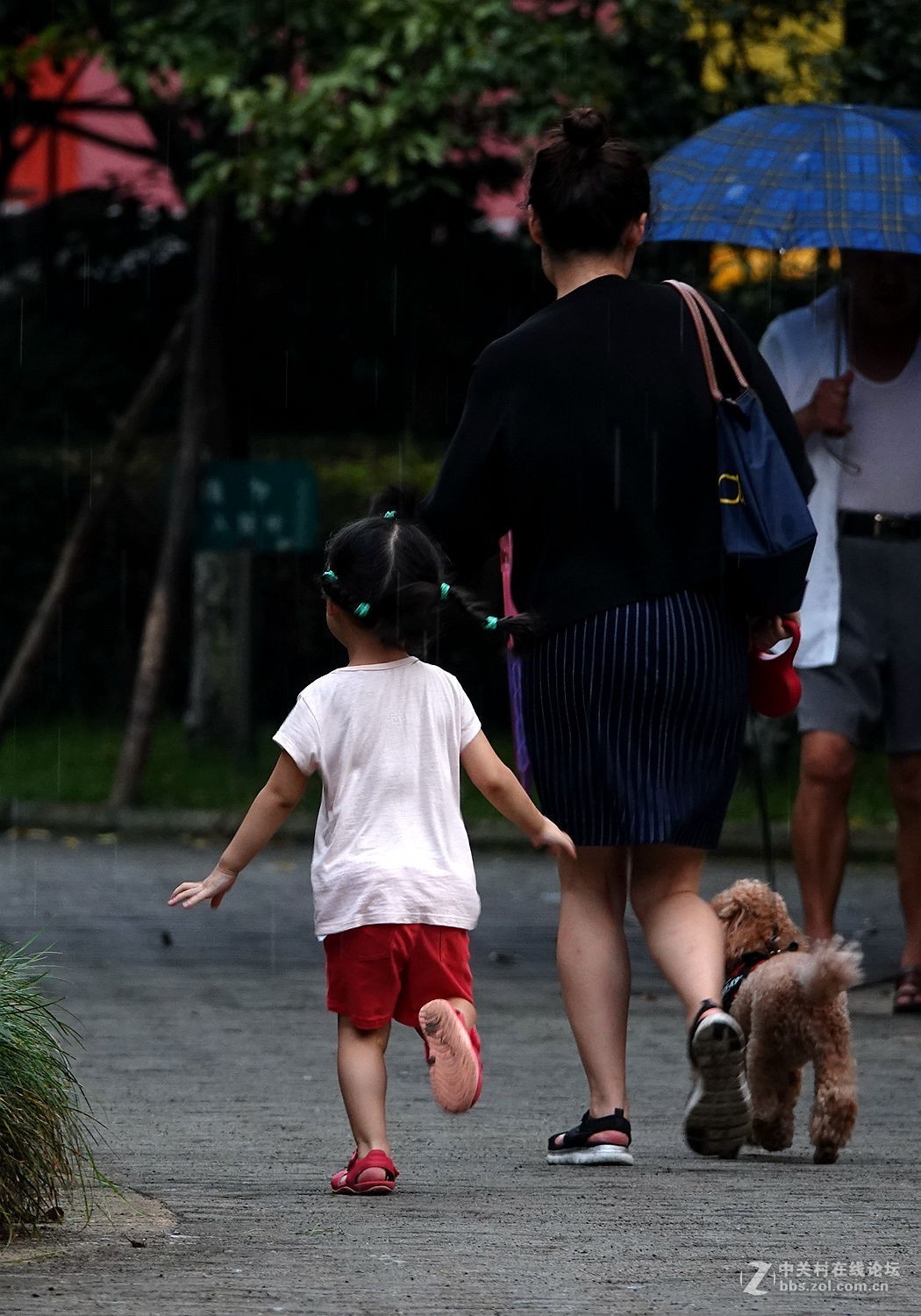 下雨了，快跑