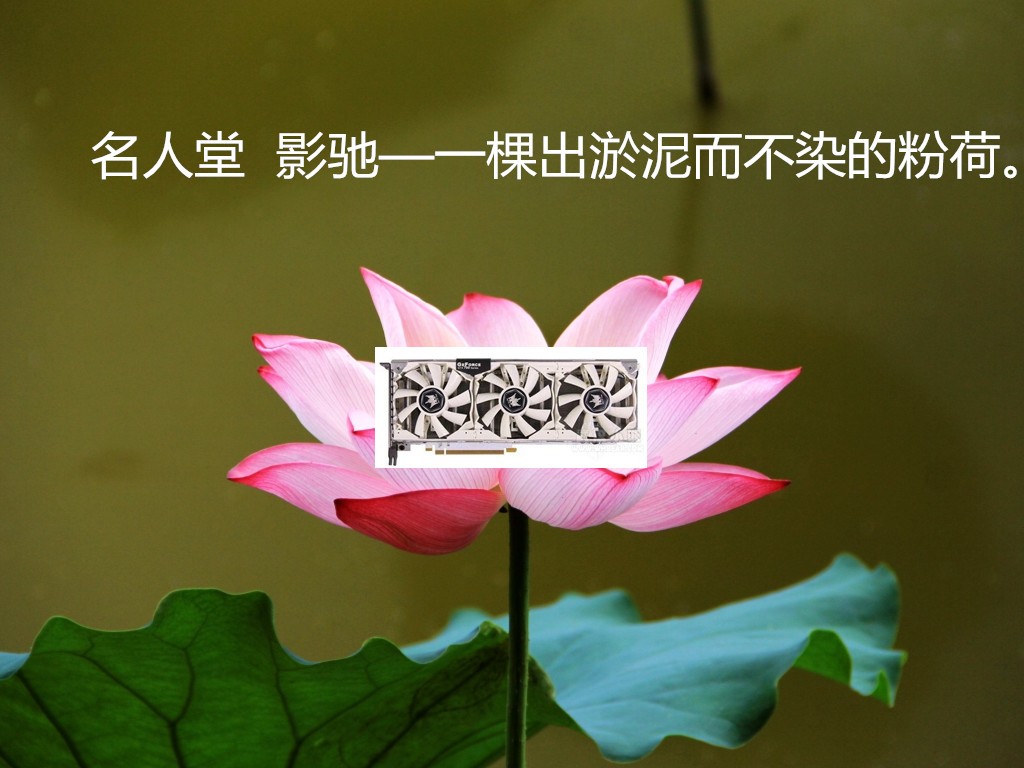 #名人堂积分争霸赛第三战#影驰HOF——一棵出淤泥而不染的粉荷