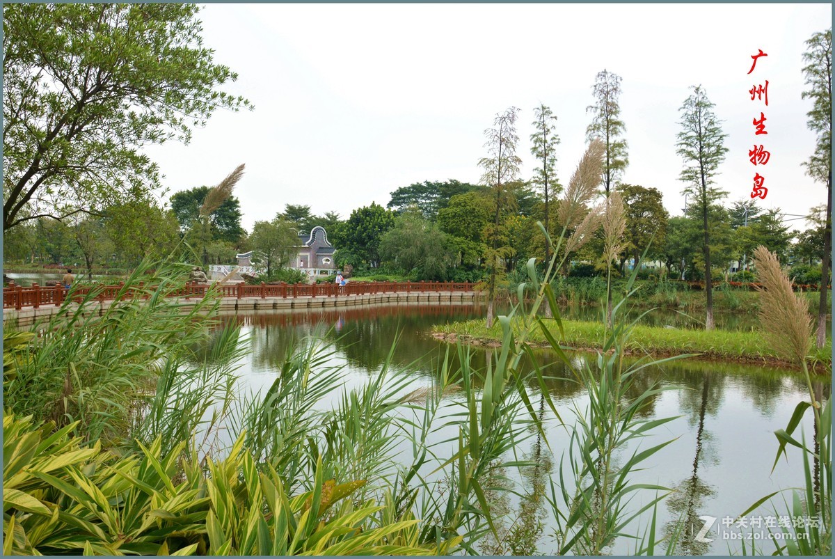 广州生物岛