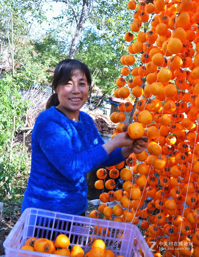山东青州市柿子沟