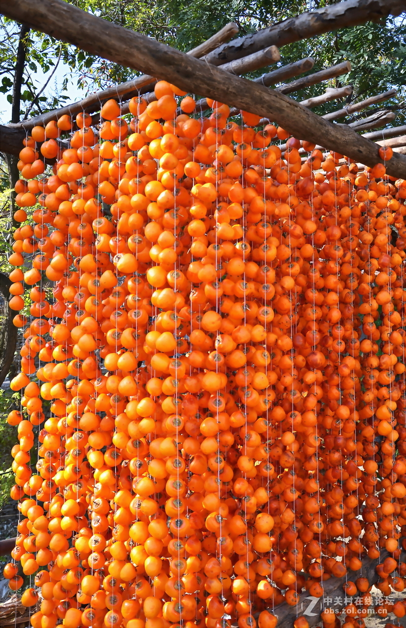 山东青州市柿子沟