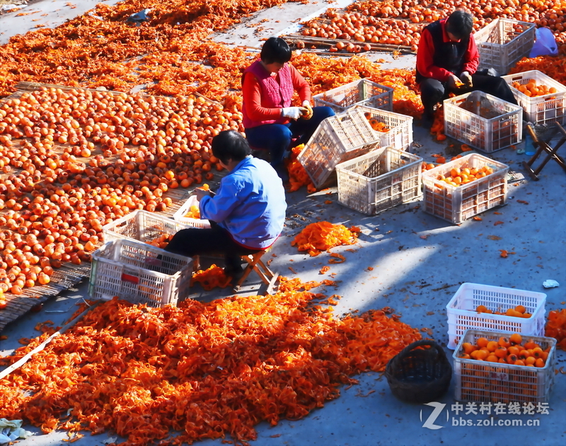 山东青州市柿子沟