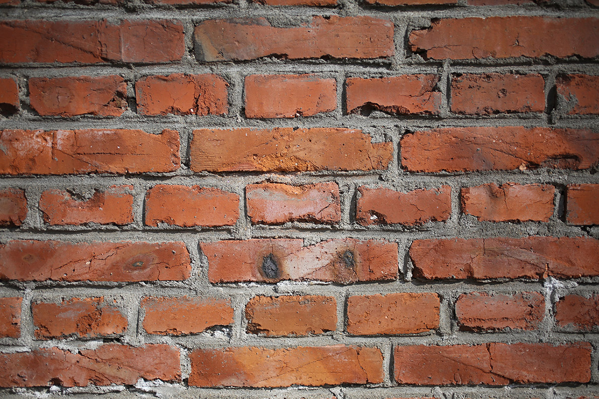 新淘的二手50小微距自拍样片，请好友帮忙看看镜头是否存在质量问题，谢谢！