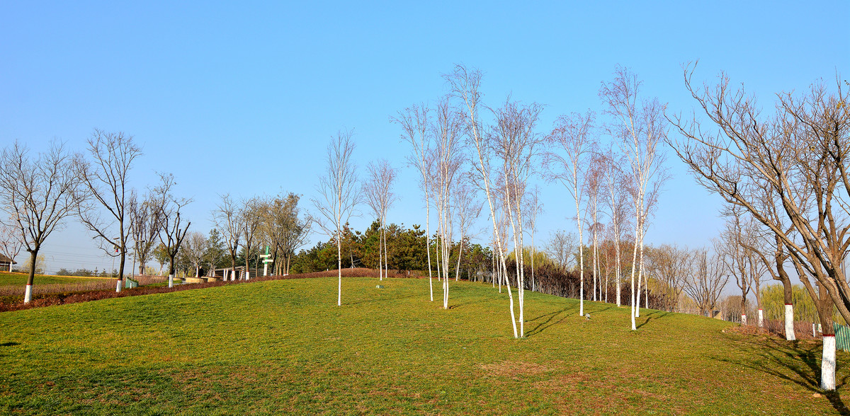 刚刚入手图丽11-16二代头一只，加入星空(中国)。祝各位师友摄影快乐！