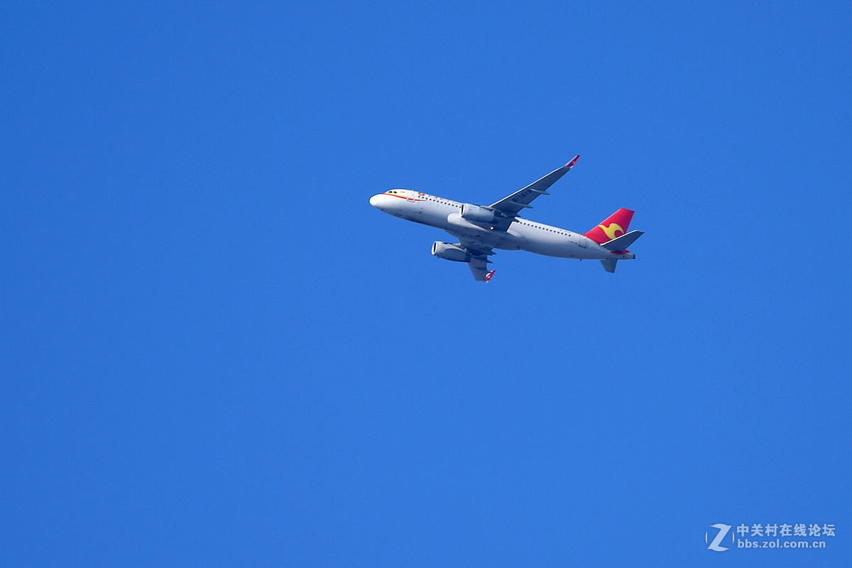 蓝天下飞翔的“海鸥”