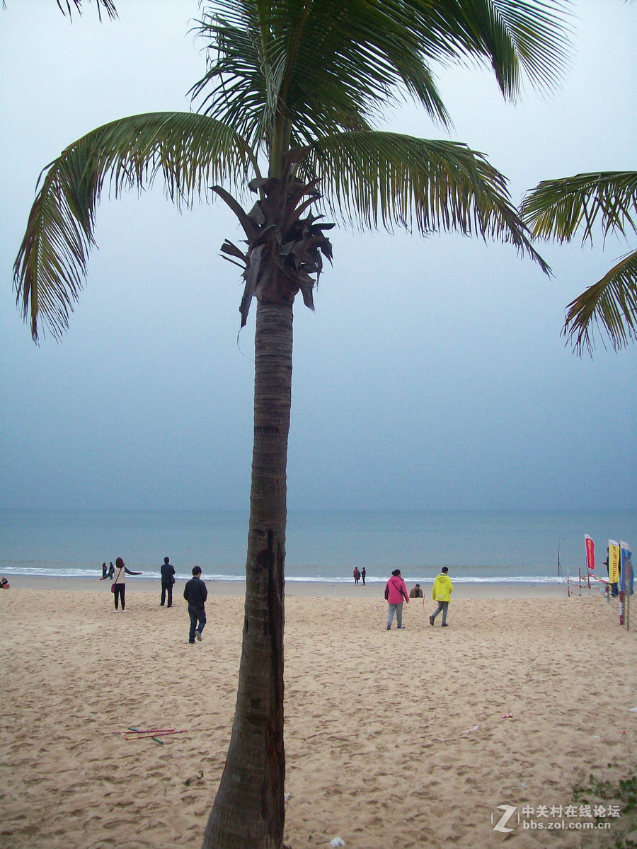 2017春节 岭南行（30）大角湾