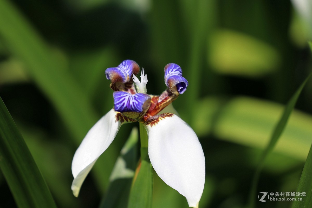 南宁青秀山兰园