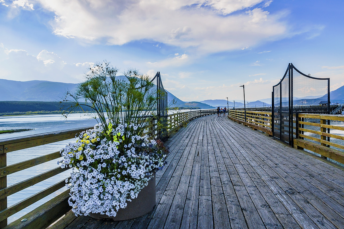 加拿大、美国游记（047）：鲑鱼湾（一）