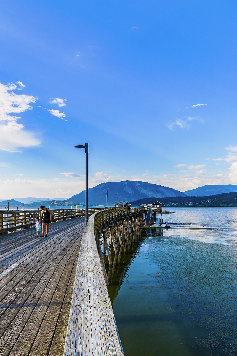 加拿大、美国游记（047）：鲑鱼湾（一）