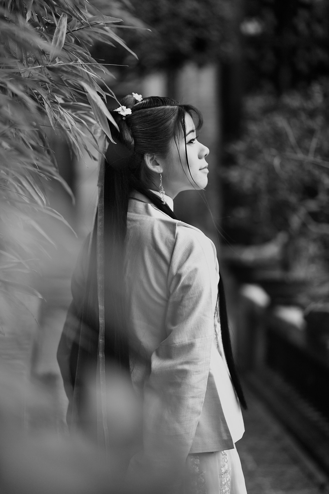 【冬晓春梦】——燕子