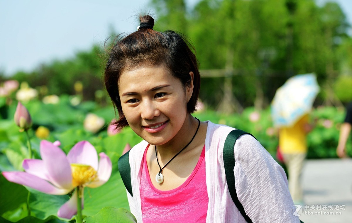 映日荷花别样红  杨万里 [朝代] 宋