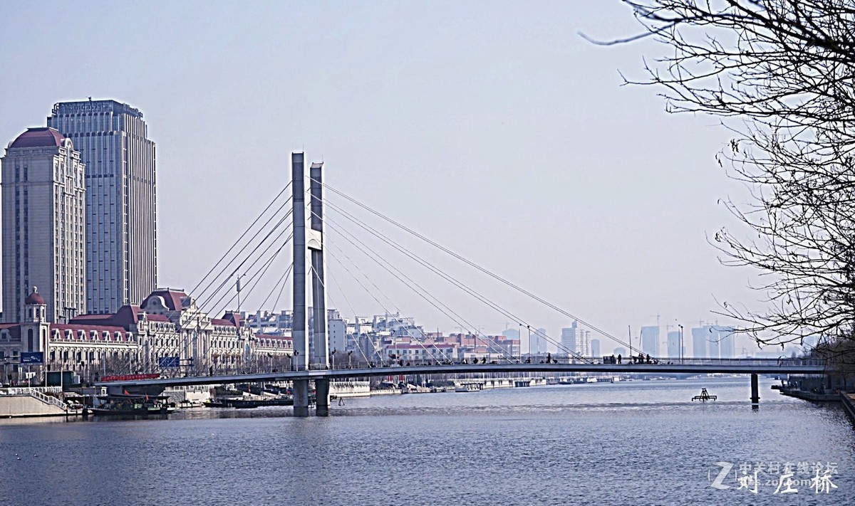 海河上的桥--刘庄桥