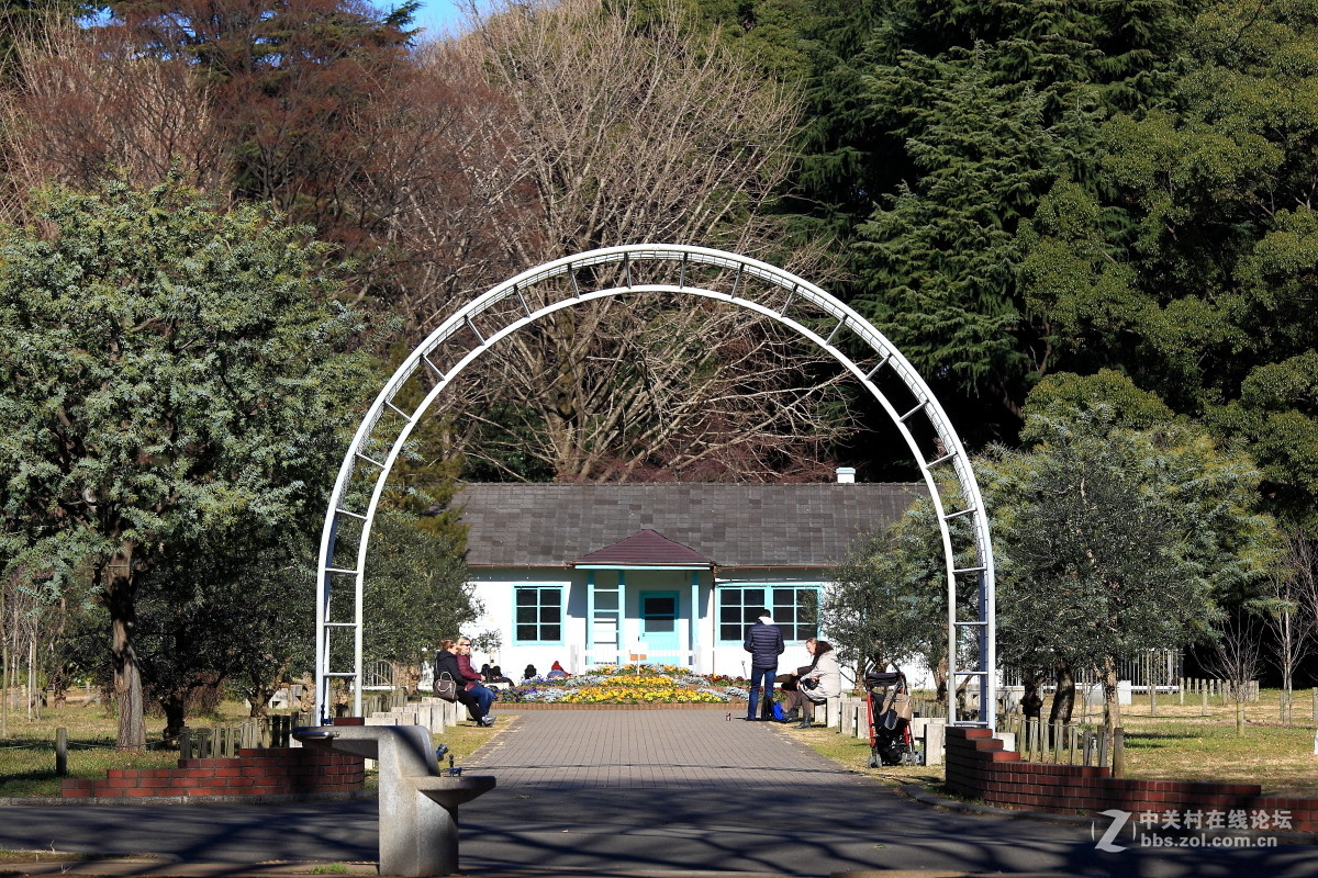 日本游随拍之四---代代木公园-中关村在线摄影论坛