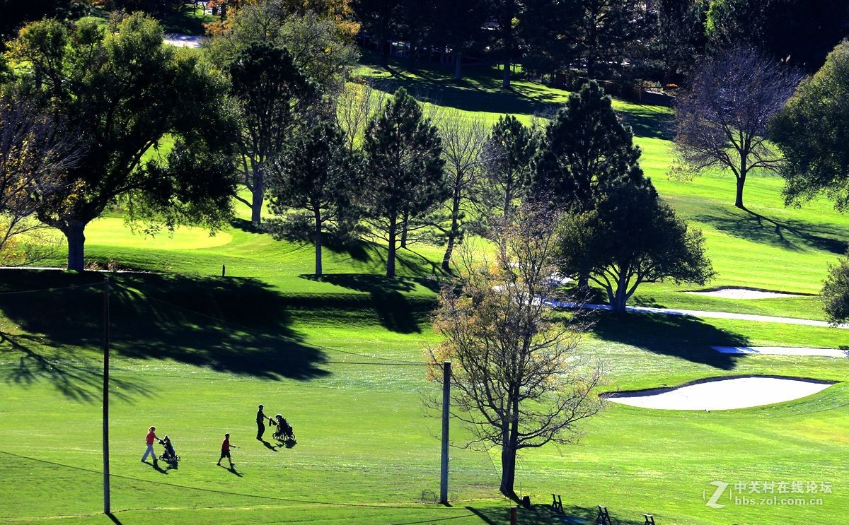 光影送福      新春吉祥