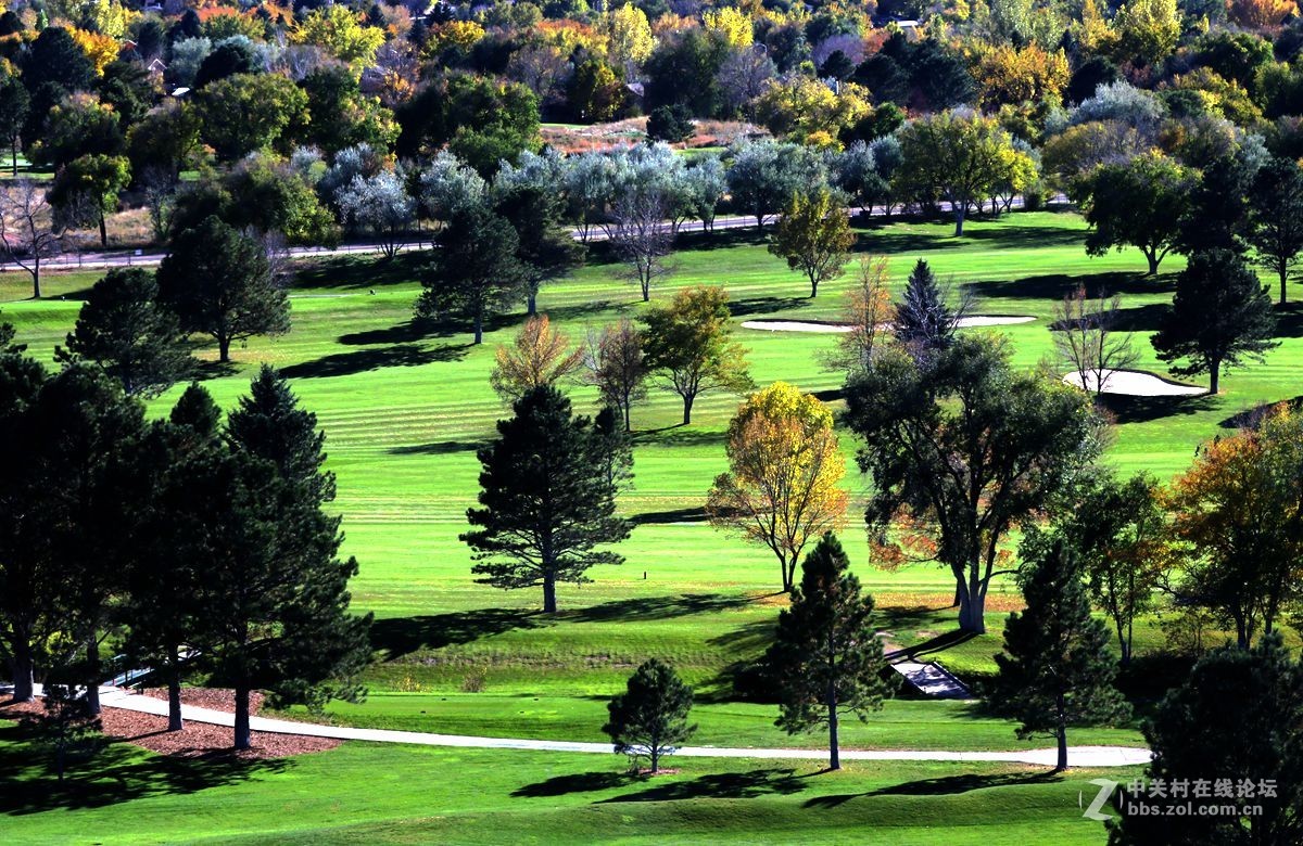 光影送福      新春吉祥