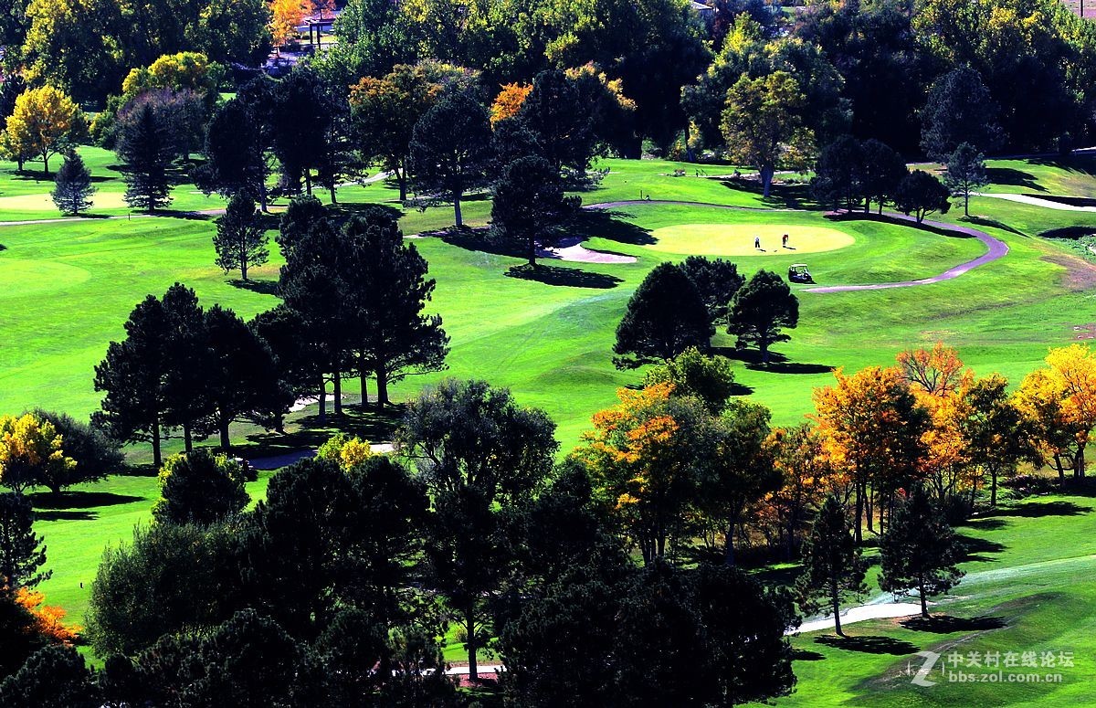 光影送福      新春吉祥