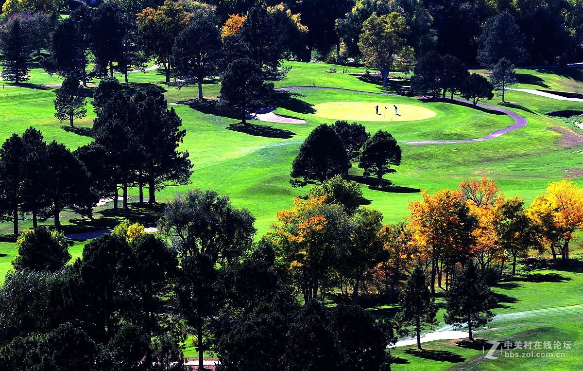 光影送福      新春吉祥